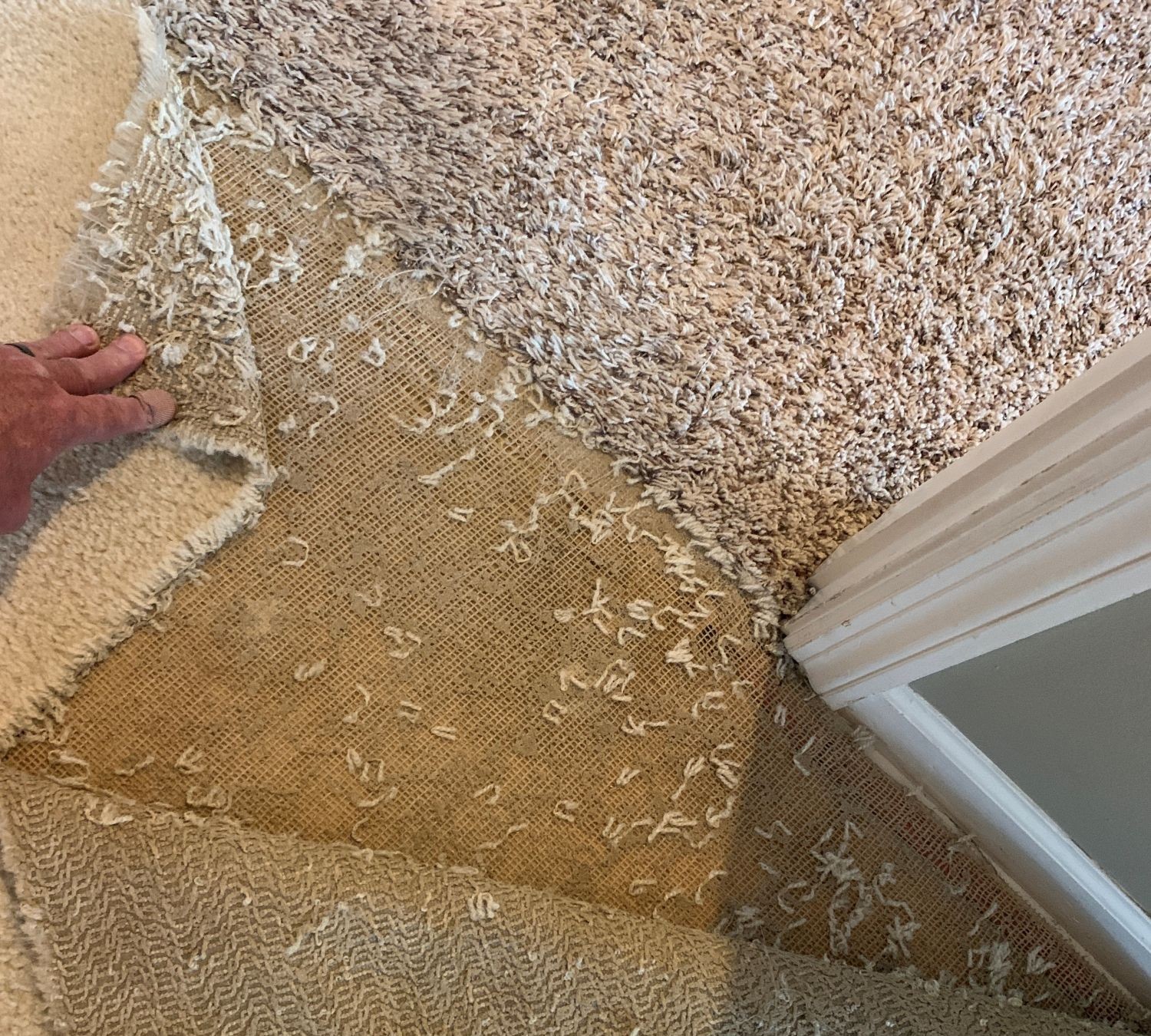 Before Cleaning