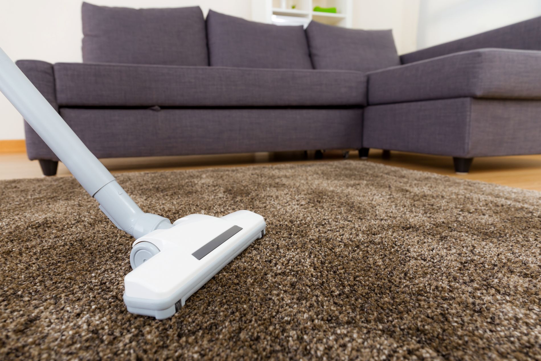 Area Rug Cleaning