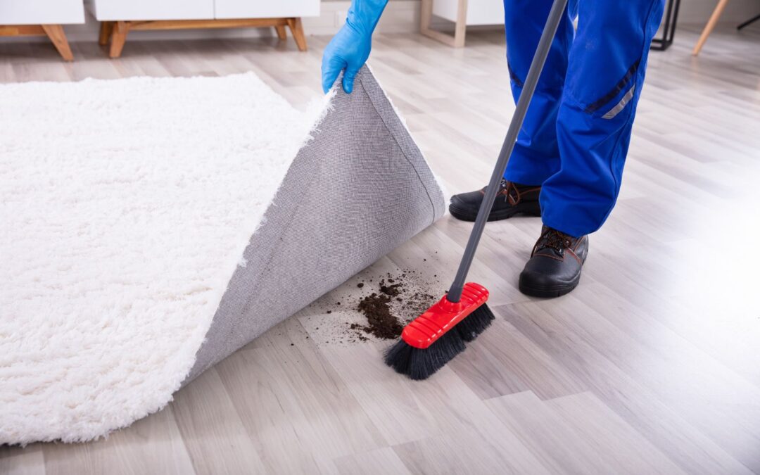 under the carpet cleaning