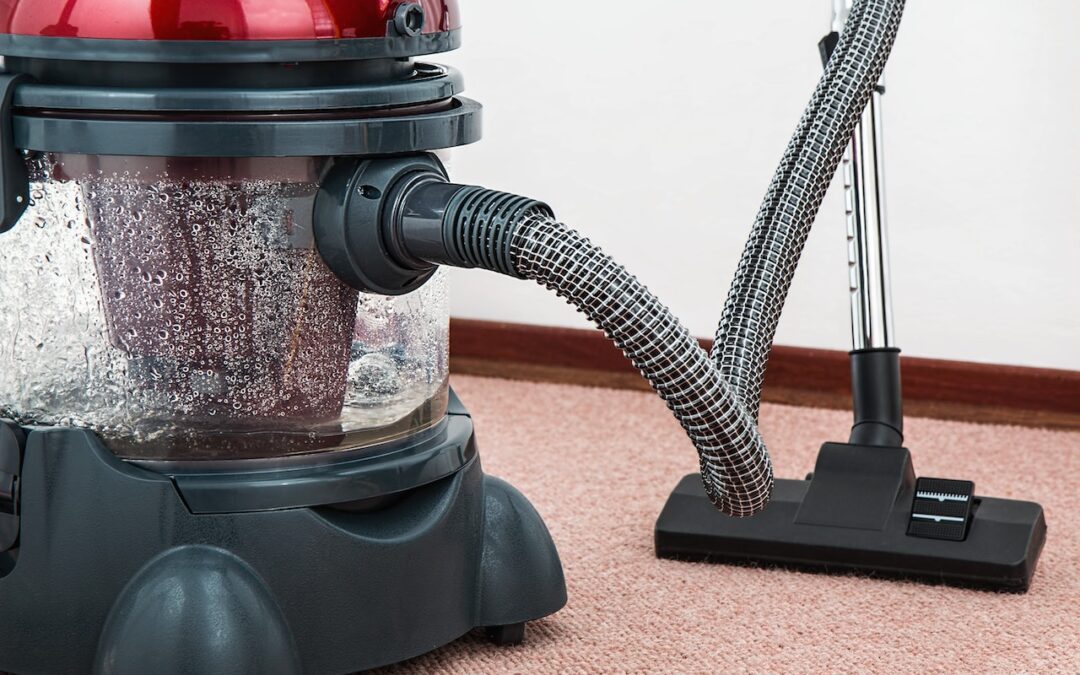 Importance of Professional Carpet Cleaning in Maintaining a Healthy Home Environment