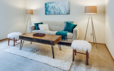 Importance of Professional Carpet Cleaning in Maintaining a Healthy Home Environment