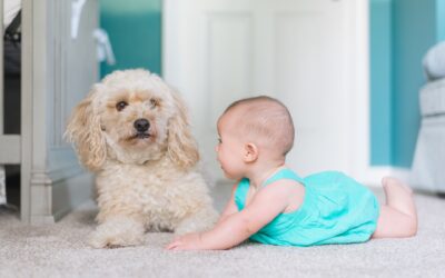 The Benefits of Green Carpet Cleaning with Excel Carpet Services