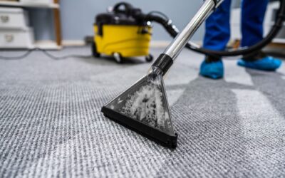 Discover the Benefits of Regular Professional Carpet Cleaning Services