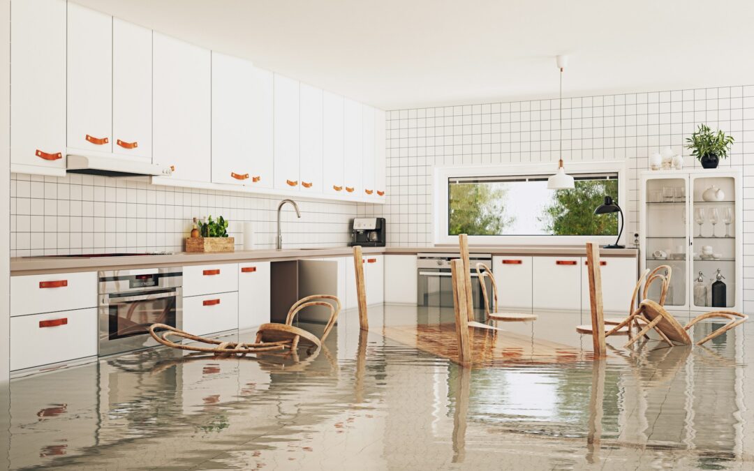 What to Do After a Flood: Emergency Water Extraction Explained