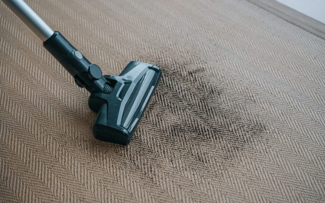 Easy Carpet Cleaning Tips for a Sparkling Home