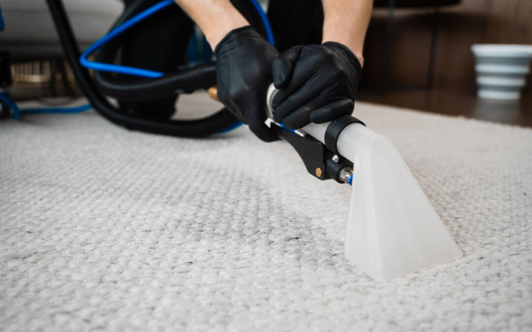 How to Get Rid of Pet Odors and Stains from Carpets