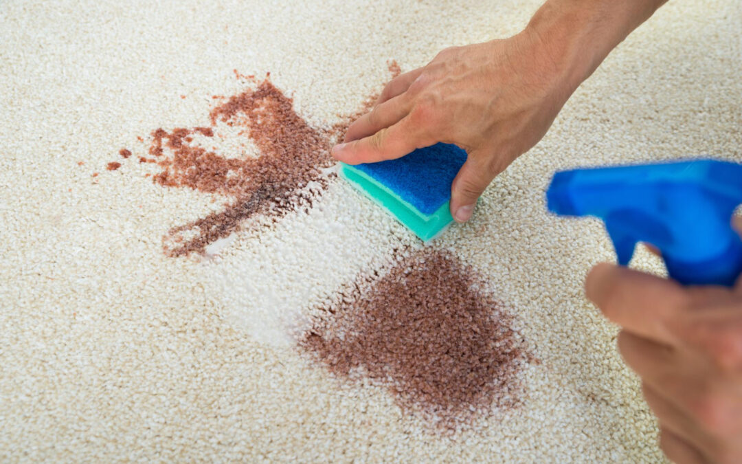 Dealing with Tough Stains on Carpets – Leave It to the Experts