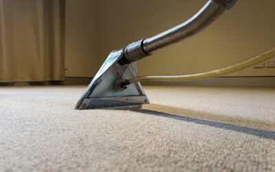 Why Hot Water Extraction Beats Other Carpet Cleaning Methods
